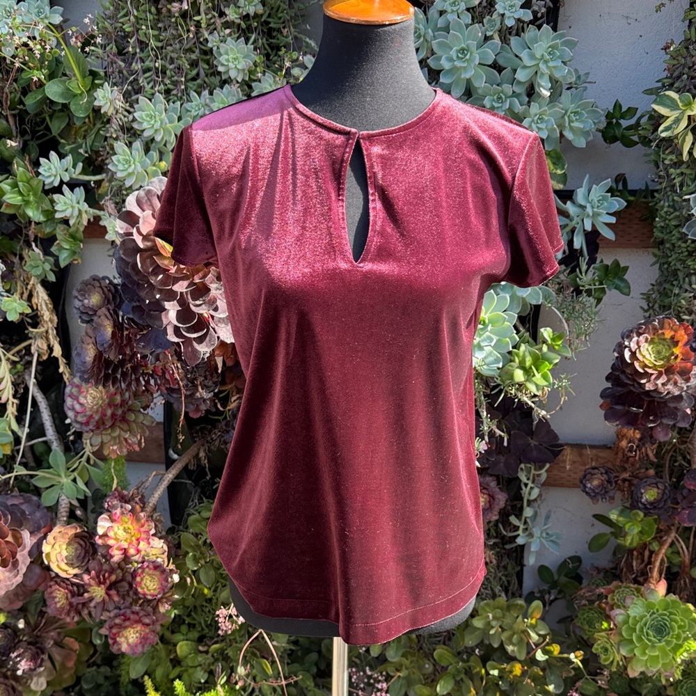 Ann Taylor Rich Burgundy Velvet Blouse